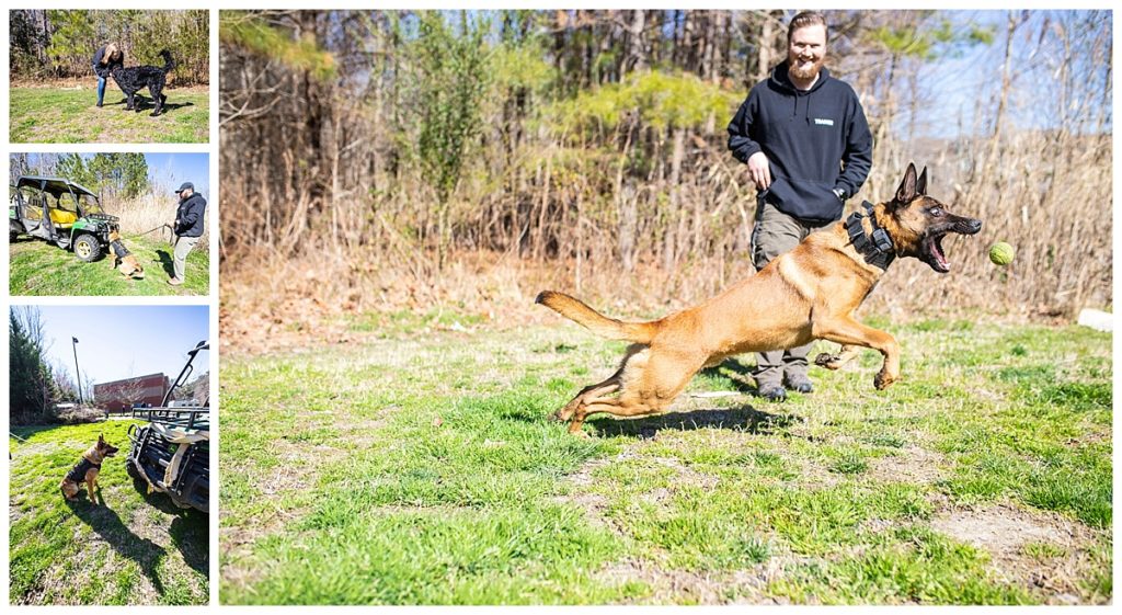 off-leash k9 training, dog training hampton roads, dog training charlottesville, content curator virginia beach, content curator hampton roads, social media manager virginia beach, misty saves the day