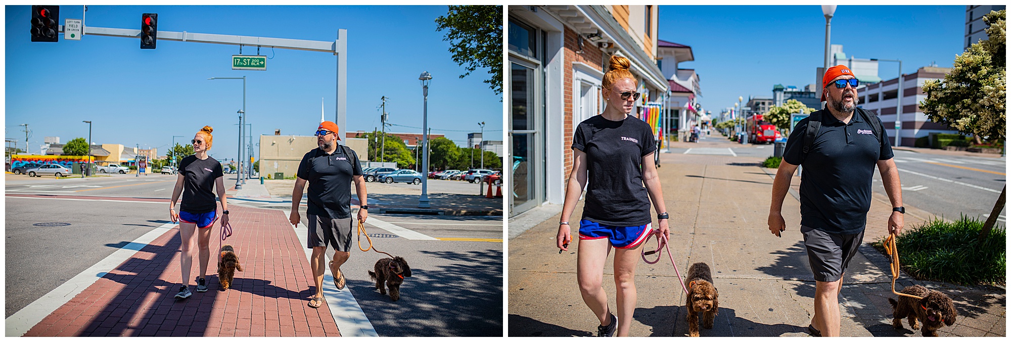 virginia beach dog trainers, misty saves the day, content creation hampton roads, content photography virginia beach