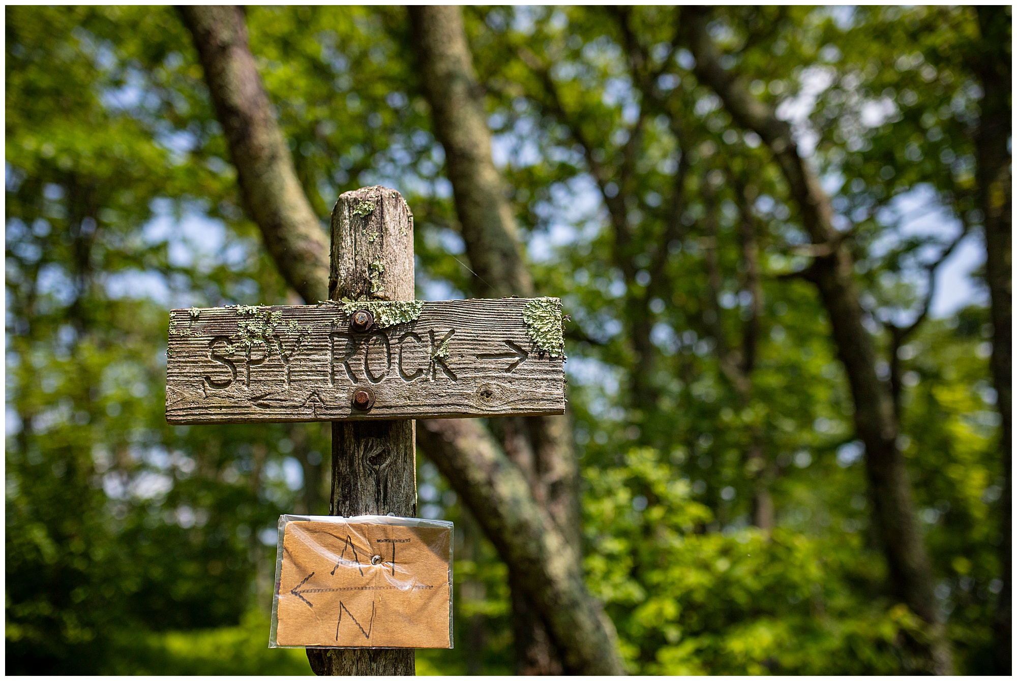 spy rock, misty saves the day, shenandoah national park, hike virginia