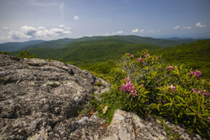 spy rock, virginia hikes, shenandoah hikes
