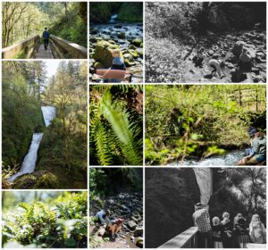 misty saves the day, portland family vacation, bridal falls oregon