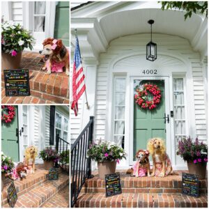 Norfolk Realtor Lifestyle photos, Patience MacCartney Realtor, Misty Saves the Day, Norfolk Virginia Headshots