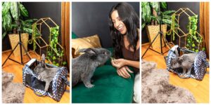 Bloom and Blossom Hampton, Counseling Hampton, Misty Saves the Day, Virginia Mental health marketing, Marketing for mental health professionals, The Studio Hampton Roads