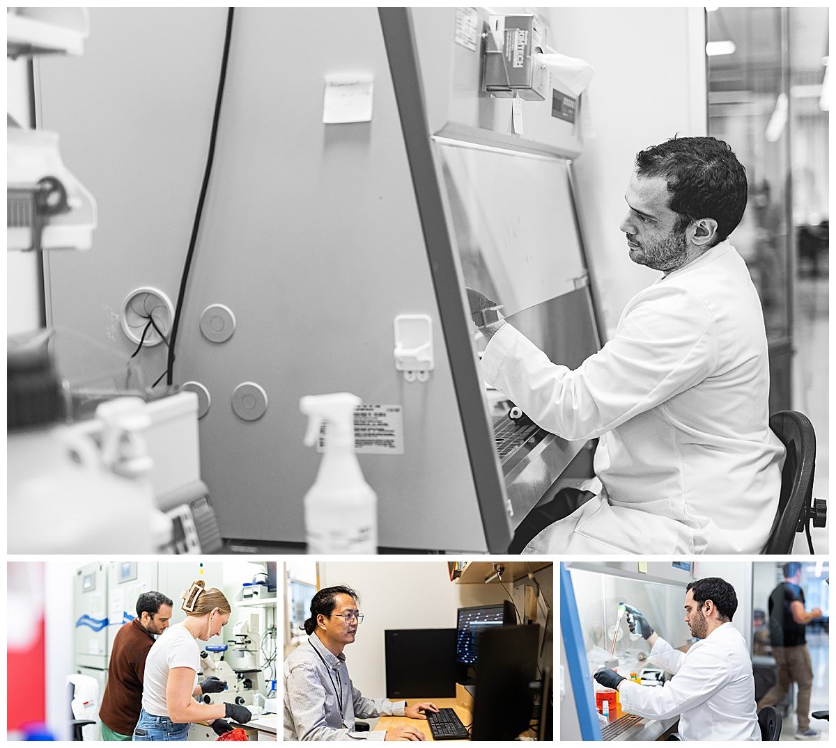 Lieber Institute, LIBD, Maryland nonprofit marketing, nonprofit social media marketing