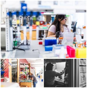 Lieber Institute, LIBD, Maryland nonprofit marketing, nonprofit social media marketing