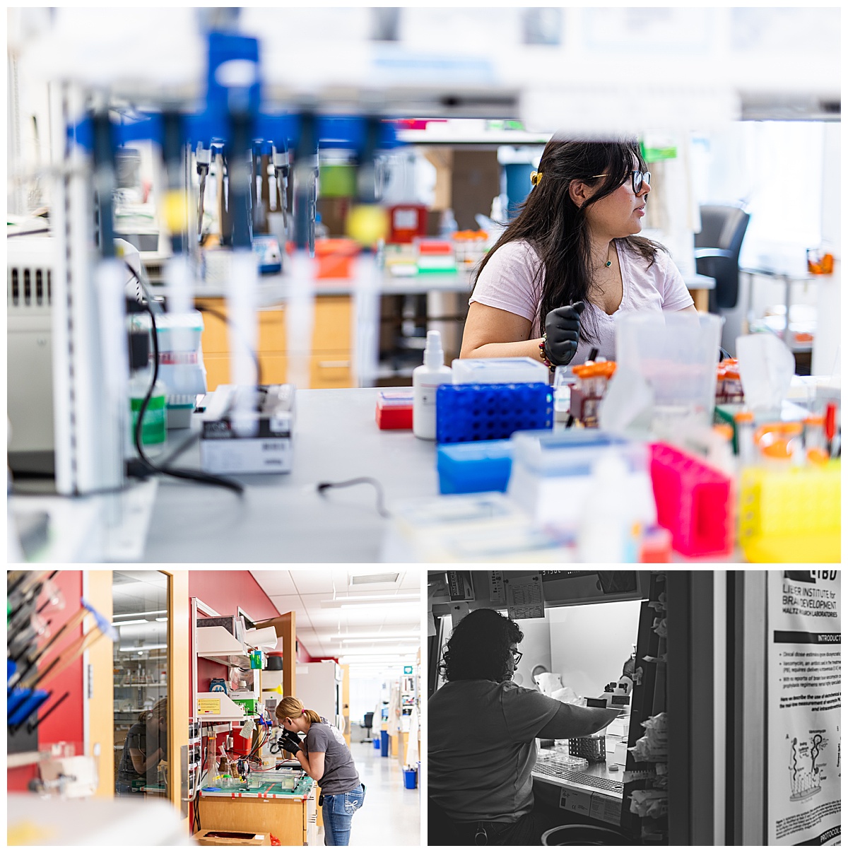 Lieber Institute, LIBD, Maryland nonprofit marketing, nonprofit social media marketing