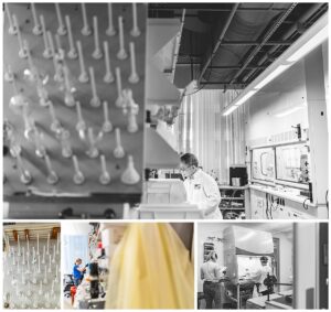 Lieber Institute, LIBD, Maryland nonprofit marketing, nonprofit social media marketing