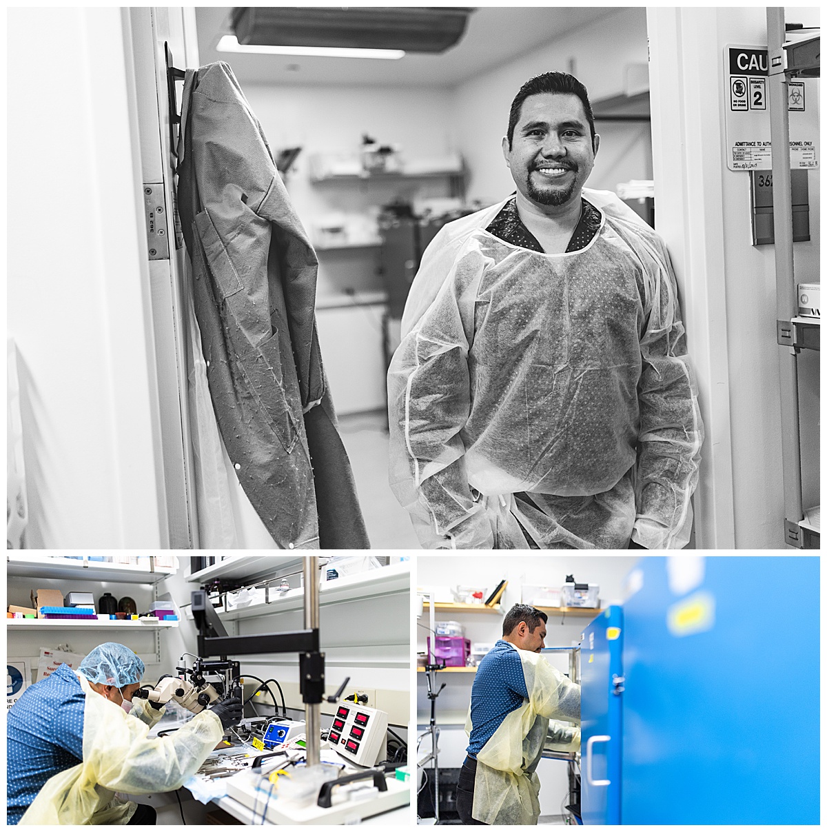 Lieber Institute, LIBD, Maryland nonprofit marketing, nonprofit social media marketing