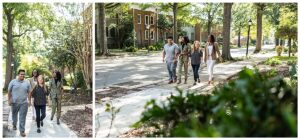 Proactive Real Estate Services, Norfolk social media manager review, Norfolk content creator, Norfolk VA Real Estate, Misty Saves the Day