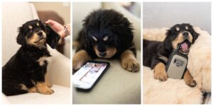 Erin O'Brien, Virginia Beach Realtor, Virginia Beach social media content creation, Misty Saves the Day