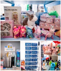 Cape Charles shopping, Eastern Shore Shopping, Fun in Cape Charles, Misty Saves the Day, Eastern Shore social media marketing