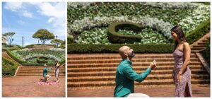 Cavalier sunken garden proposal, Virginia Beach proposal photographer, Misty Saves the Day